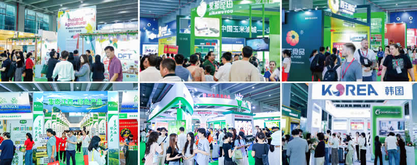 大米行業(yè)市場(chǎng)前景